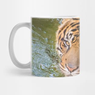 Tiger playing in some water Mug